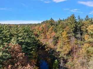 9308 E New River Dr, Howard City, MI 49329