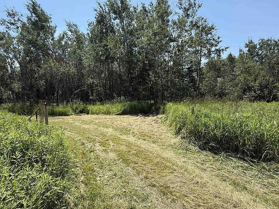 1st image of RED HICKORY ROAD