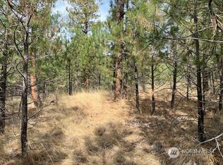 8 Chief Joseph Spur E, Riverside, WA 98849