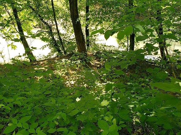 4th image of 0 Henson Ln Lot 5