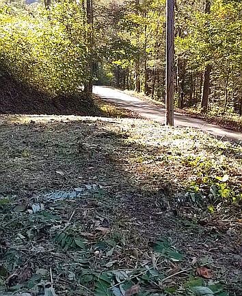 4th image of 319 Rock Creek Ln