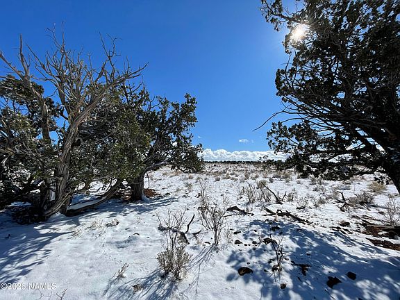 2nd image of 5741 Lariat Rd