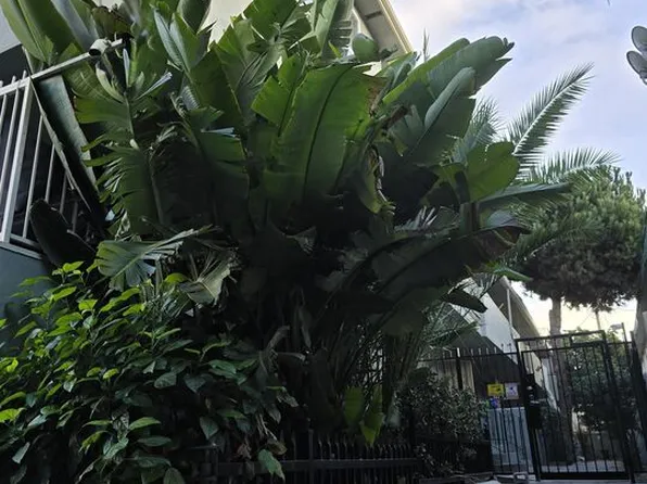 350 S Hobart Blvd APT 7, Los Angeles, CA 90020