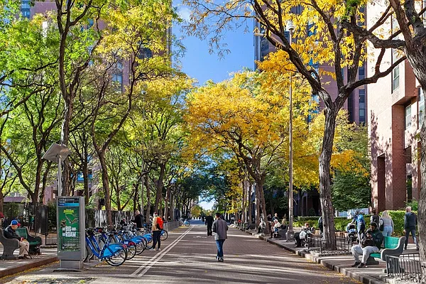 Rented by Greystar | media 9