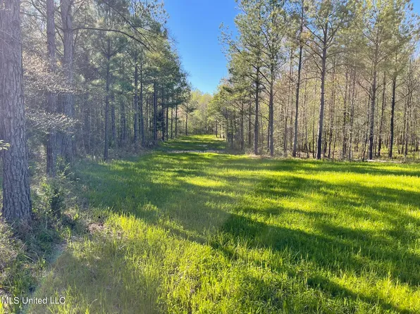 0 Chester Rd, Ackerman, MS 39735