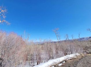 413 Powder Ridge Cir, Mesa, CO 81643