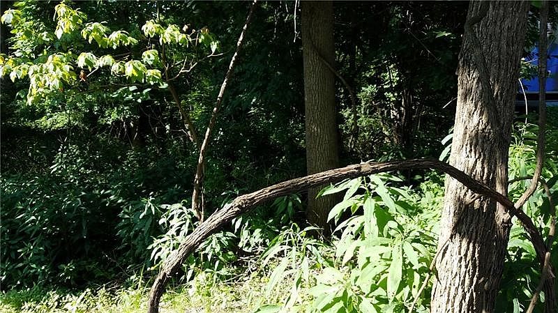 2nd image of 1730 Victory Ln