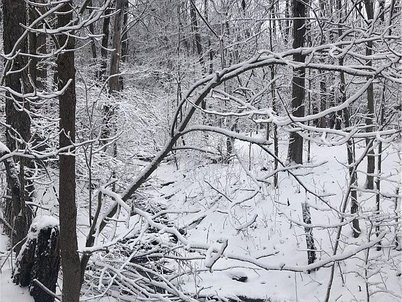 4th image of 0 County Line Rd