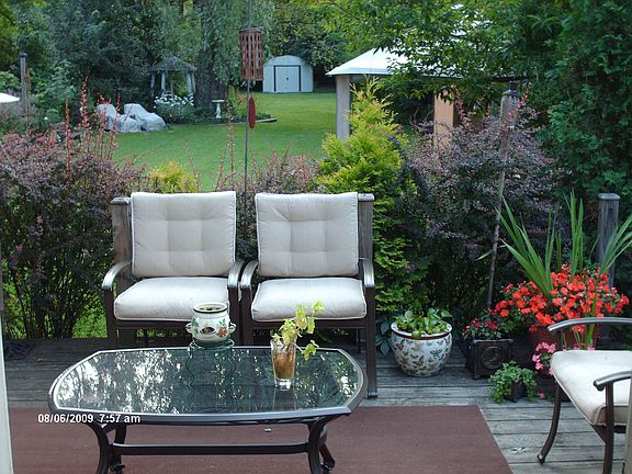 View from the kitchen