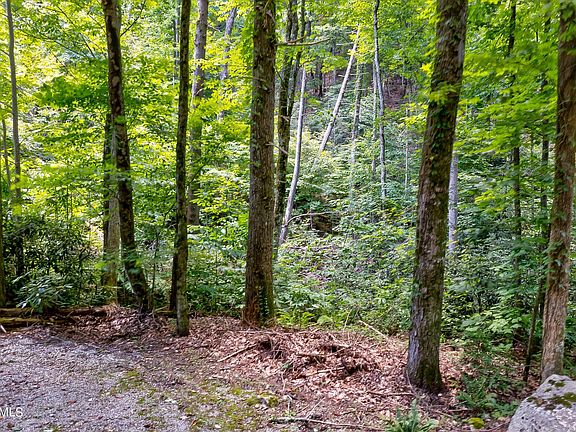 4th image of Reagan Springs Rd