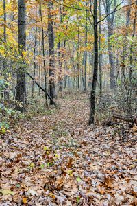 LOT E Mosherville Rd #A, Jonesville, MI, 49250