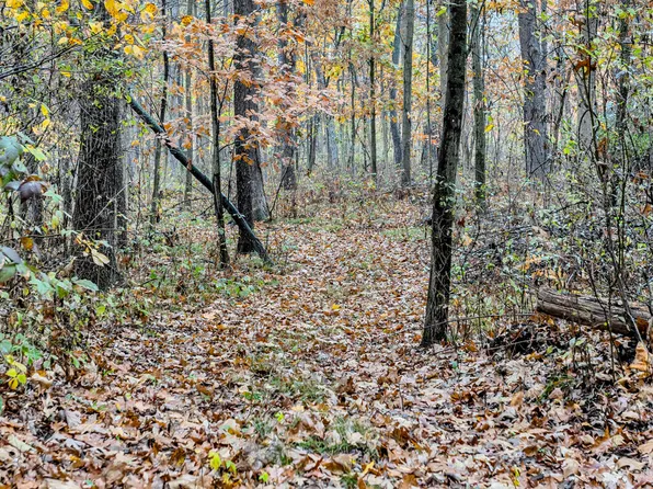 LOT E Mosherville Rd #A, Jonesville, MI 49250