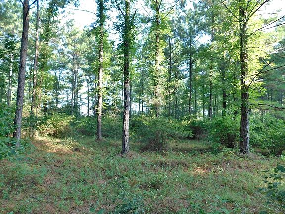 3rd image of 11914 Browder Traylor Rd