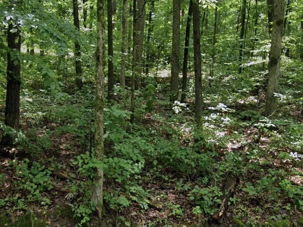 LOT 19 Lindsey Ln, Guntersville, AL 35976