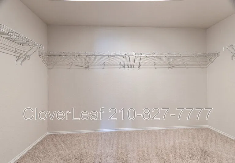 6823 Ashcat — Photo 22