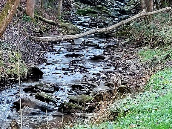 5th image of 4489 Pittman Center Rd