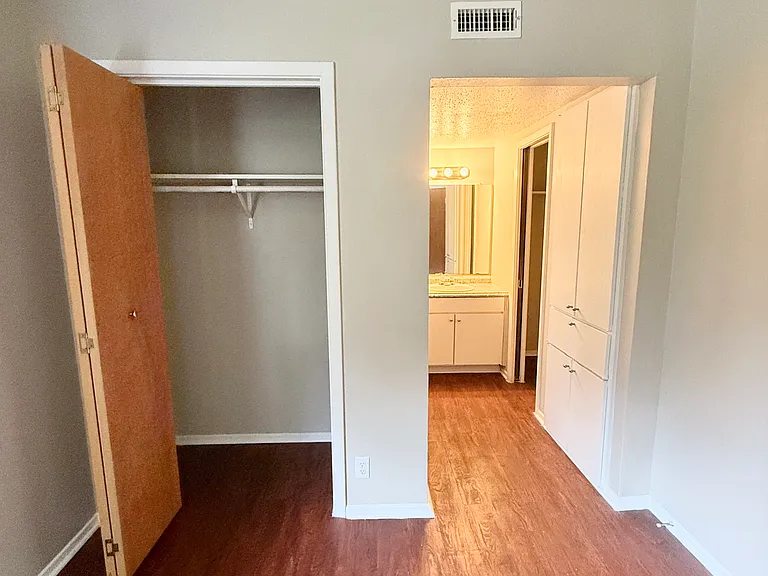 Bedroom closet and bathroom