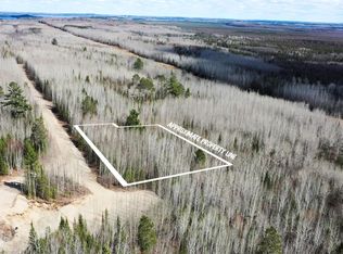 PARCEL W Frazer Bay Rd #Y, Cook, MN 55723