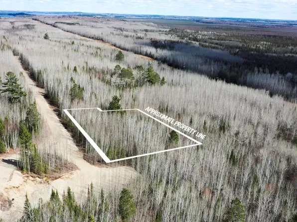 PARCEL W Frazer Bay Rd #Y, Cook, MN 55723