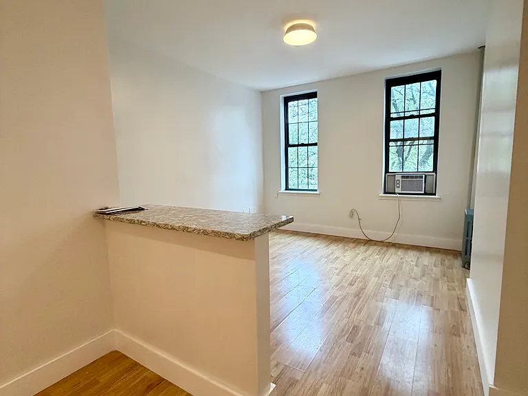603 Seneca Ave #2L — Photo 5