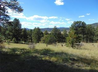 653 Lakeview Forest Hts, Florissant, CO 80816