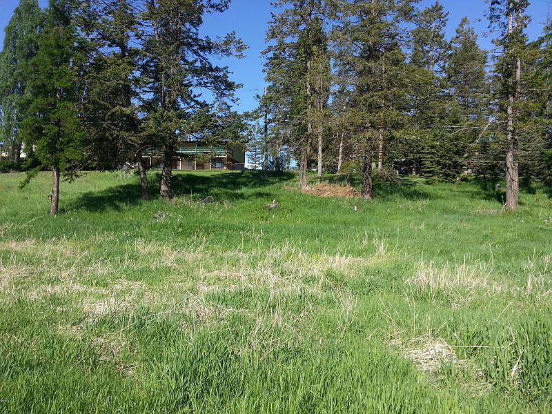1st image of 350-354-358 Bear Trail
