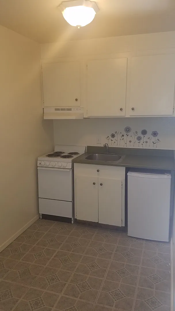 Coming Soon! Cute Studio In Old Sw Reno!! — Photo 4