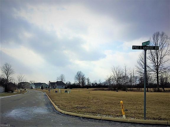 5th image of Spruce Dr