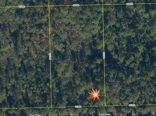 143 E Dixie St, Palatka, FL 32177