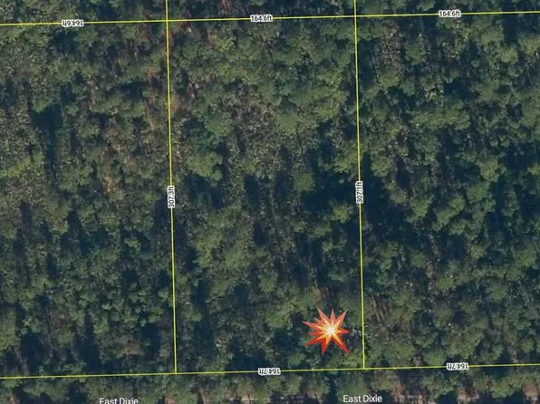 143 E Dixie St, Palatka, FL 32177