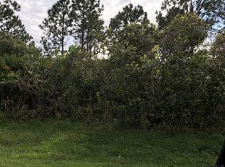 103 Bud Hollow Dr, Palm Coast, FL 32137