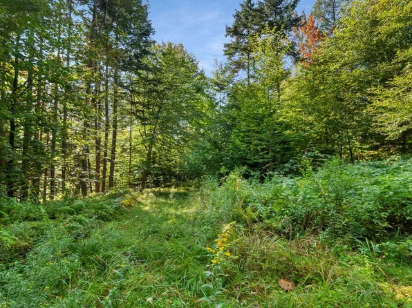 905 South Hill Road, Stockbridge, VT 05772