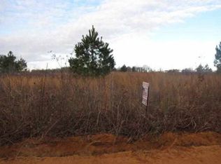 424 Scott Road Ext, Elko, GA 31025