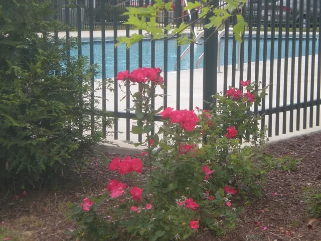 Beautiful Grounds