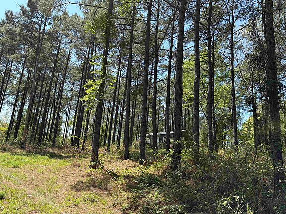 3rd image of 175 Mims Chapel Rd