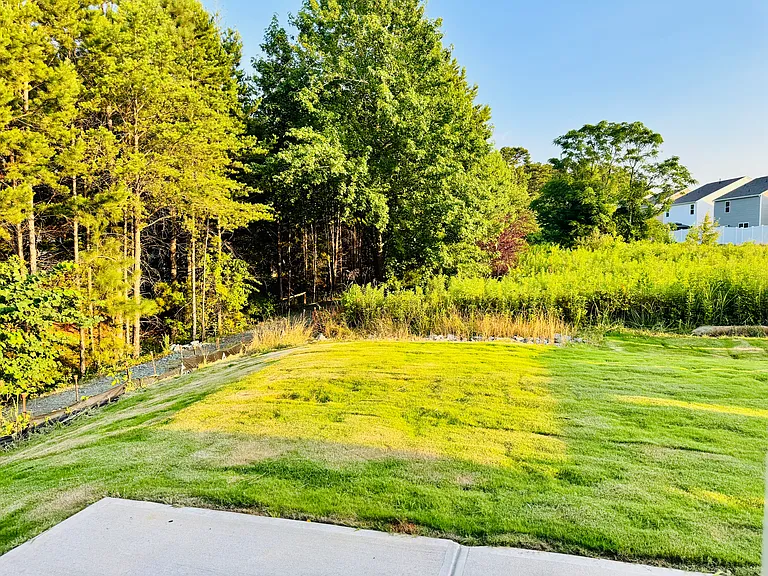 Large backyard, great enjoyment for families!