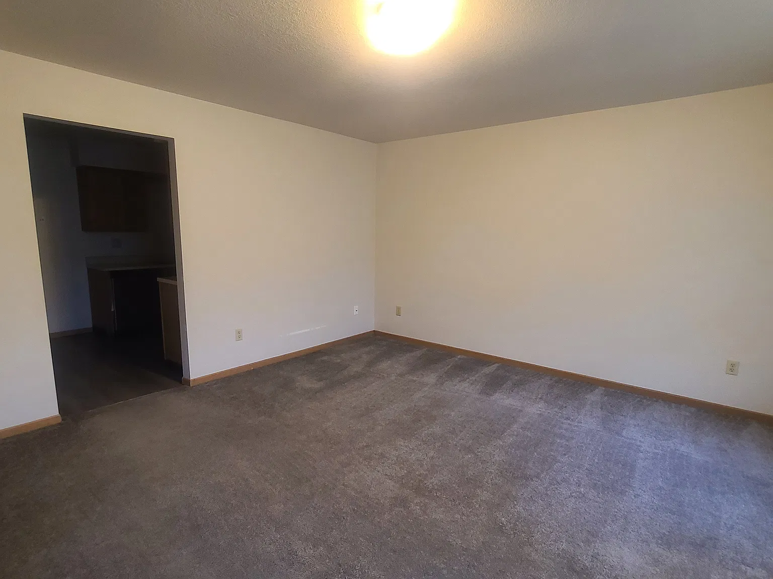 1 bed, 800 sqft, $795 — Photo 3