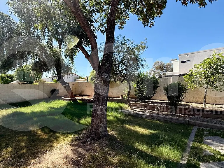 5420 E Paradise Ln — Photo 5