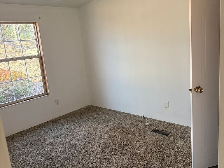 1308 Lees Mill Park Rd — Photo 11