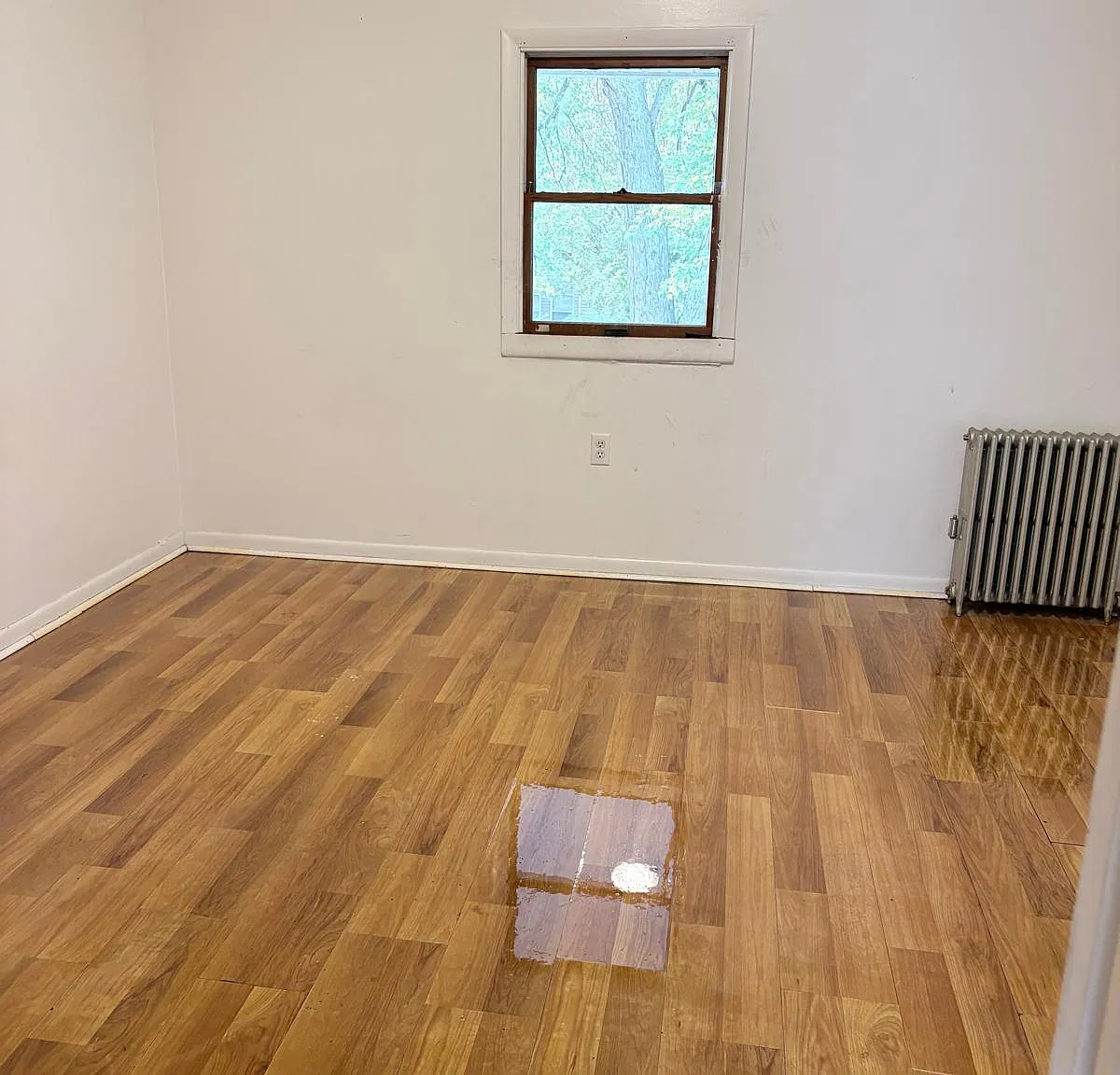 926 Mount Vernon Ave — Photo 3