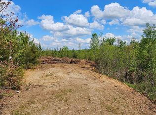 0 Mount Pleasant Rd LOT 4, Pamplin, VA 23958