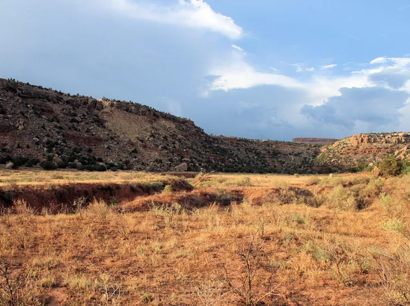 59.39 Acs Dalton Wash Rd, Virgin, UT 84779