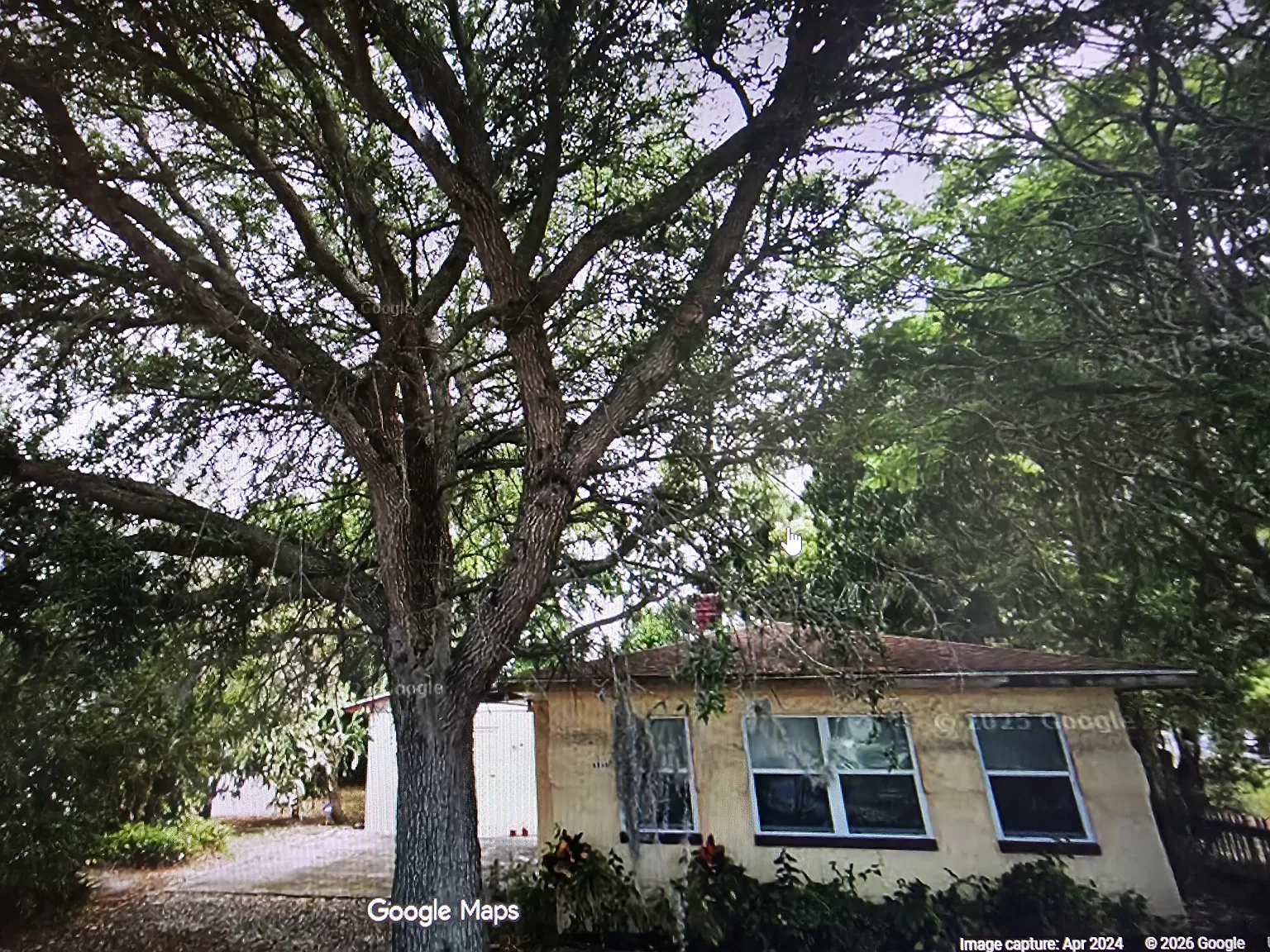 1 bed, 517 sqft, $1,300 — Photo 2