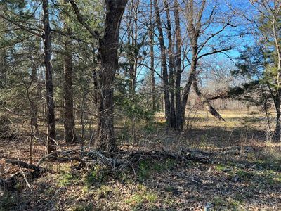 LOT 95 Dogwood Dr, Trinidad, TX, 75163