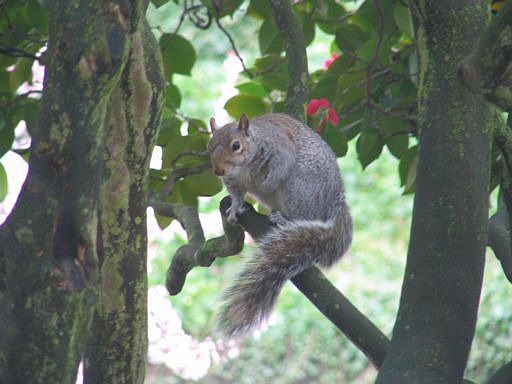 The living room view occasionally includes visitors.