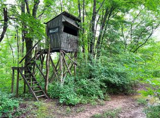 0 Leonard Ridge Rd, Caldwell, OH 43724