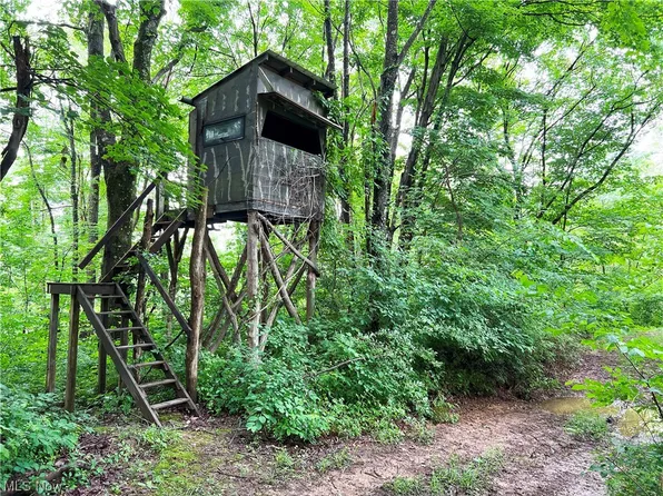 0 Leonard Ridge Rd, Caldwell, OH 43724