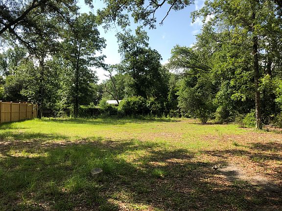 2nd image of 0 Palmetto Ave