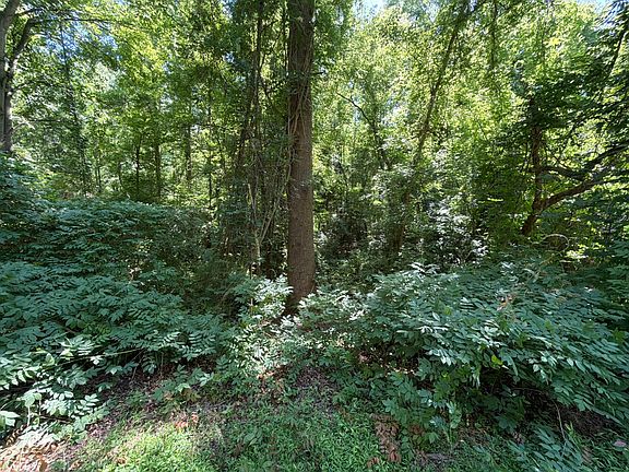 5th image of 0 Boyette Pond Rd