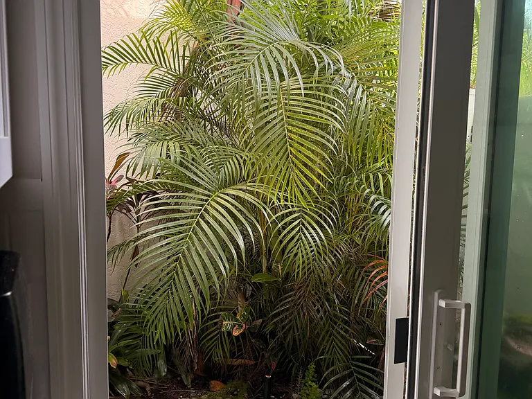 Raintree Street Cir E — Photo 18